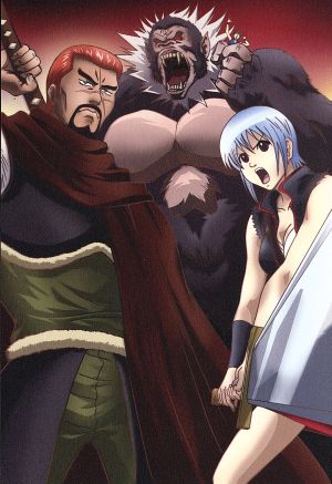 銀魂 シーズン其ノ参 06 【完全生産限定版】 [DVD] [DVD] [2009]