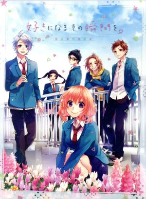 好きになるその瞬間を。~告白実行委員会~(完全生産限定版) [DVD] [DVD]