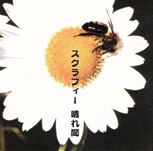 晴れ間 [CD] スクラフィー