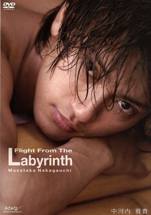 中河内雅貴 Flight from the Labyrinth [DVD] [DVD] [2007]
