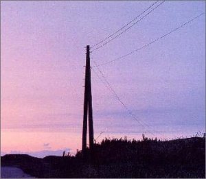 飛べない鳥 [CD] ゆず、 北川悠仁、 寺岡呼人; ゆず