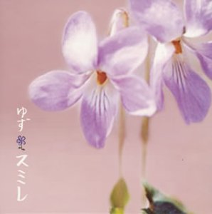 スミレ [CD] ゆず、 ゆず; 寺岡呼人