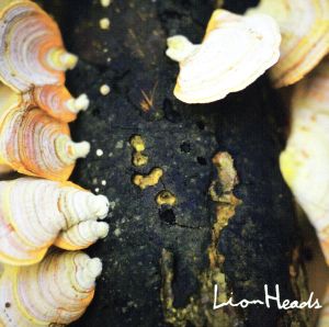 ゼペット [CD] Lion Heads Masaaki Hanayama Keiichi Miyako Sakura Tooru Yoshida; Lion Heads