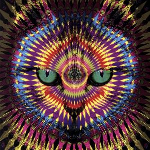 Playear(初回限定盤)(DVD付) [CD] ゾロ