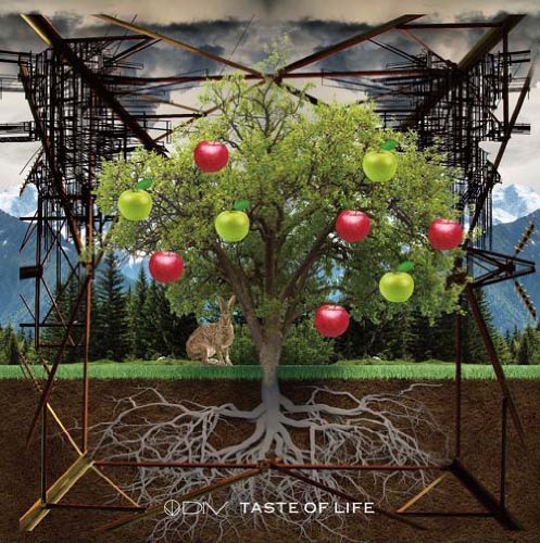 TASTE OF LIFE(初回生産限定盤)(DVD付) [CD] DIV CHISA DIV; 神山一良