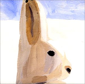 ポラリス [CD] Polaris