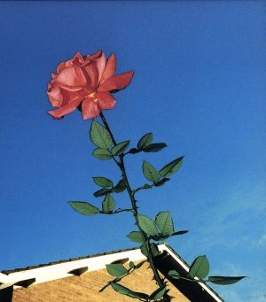 月の恋人 [CD] Polaris