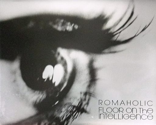 ROMAHOLIC [CD] Floor on the Intelligence