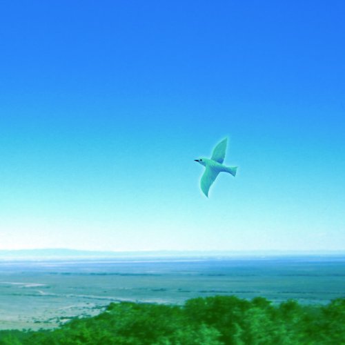 Blue Bird Blue [CD] 黒石ひとみ