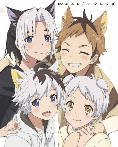 フレンズ (期間生産限定アニメ盤) (DVD付) (特典なし) [CD] wacci