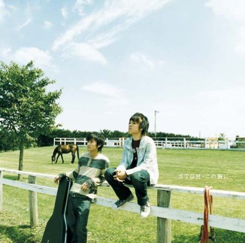 この胸に・・・(初回生産限定盤)(DVD付) [CD] STGM