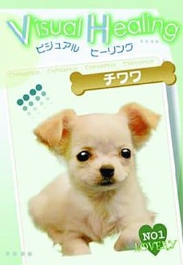 Visual Healing 1 チワワ [DVD] [DVD]