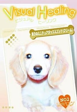 VisualHealing双子のミニチュアダックスフンド(クリーム2 [レンタル落ち] [DVD] [DVD]