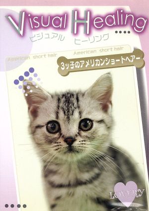 VisualHealing 9 3ッ子のアメリカンショートヘア [レンタル落ち] [DVD] [DVD]