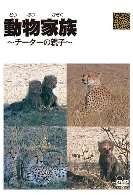 動物家族~アフリカ編~チーター [DVD] [DVD]