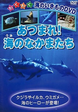 あつまれ!海のなかまたち [DVD] [DVD]