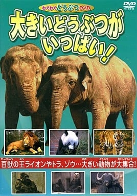 大きいどうぶつがいっぱい！