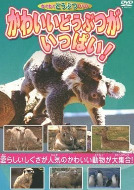 かわいいどうぶつがいっぱい！