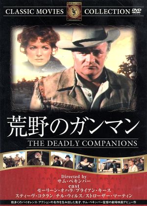 荒野のガンマン [DVD] FRT-213 [DVD]