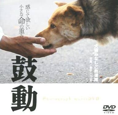 鼓動 ―感じて欲しい小さな命の重み。 Photograph music DVD [DVD] [2012]