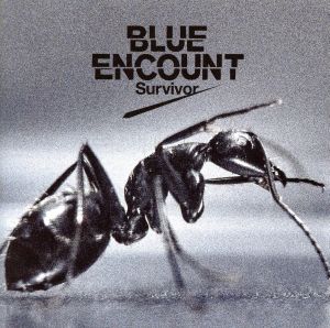 Survivor [CD] BLUE ENCOUNT