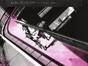ストラト(初回生産限定盤)(DVD付) [CD] NICO Touches the Walls