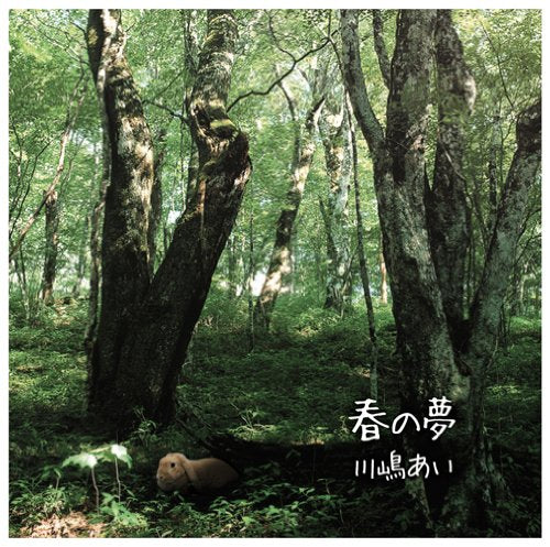 春の夢(初回限定盤)(DVD付) [CD] 川嶋あい