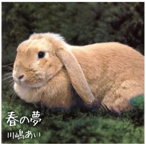 春の夢 [CD] 川嶋あい