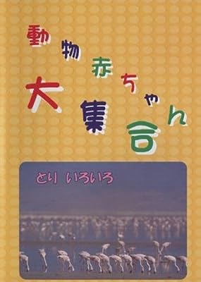 動物赤ちゃん大集合 10 とり いろいろ