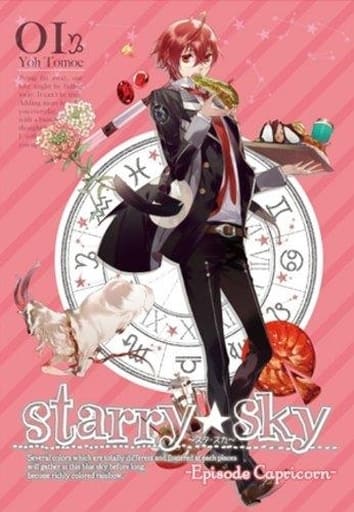 アニメ「Starry☆Sky」 DVD スペシャルエディション vol.1～Episode Capricorn～ [DVD]
