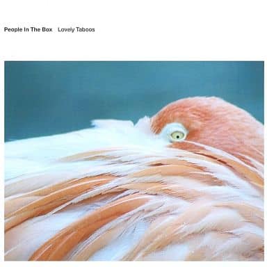 Lovely Taboos [CD]