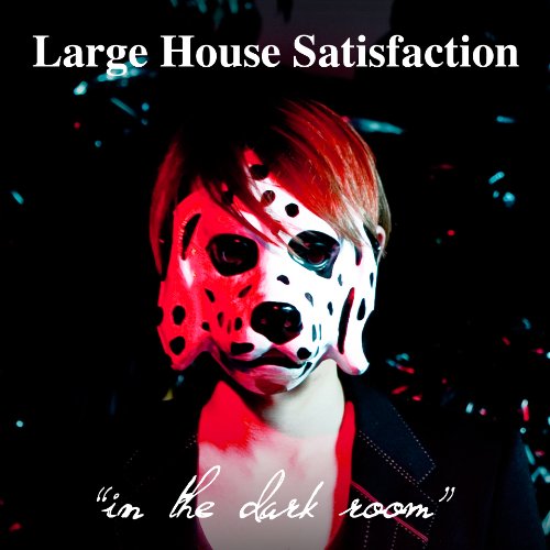 in the dark room [CD] Large House Satisfaction