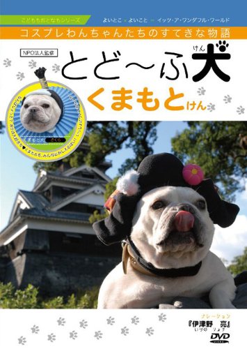 とどーふ犬 くまもとけん [DVD] [DVD]