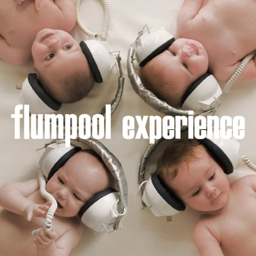 experience (DVD付初回限定盤)【DVD 『5th Tour 6.24 Live & Documentary』】 [CD] flumpool