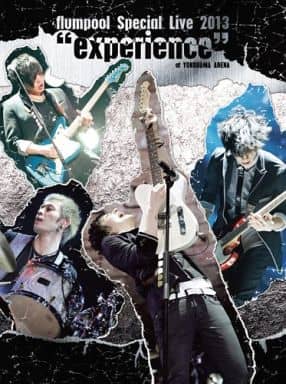 flumpool Special Live 2013“experience”at YOKOHAMA ARENA [DVD] [DVD]