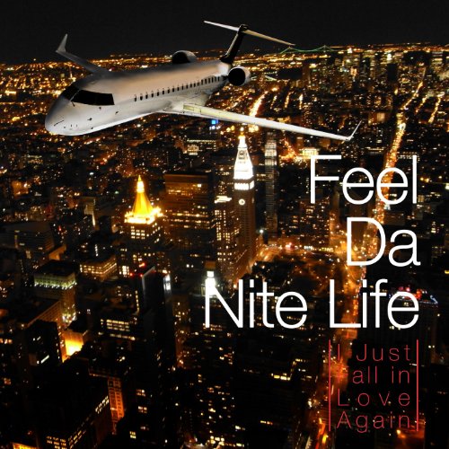 Feel Da Nite Life -I Just Fall in Love Again- [CD] V.A