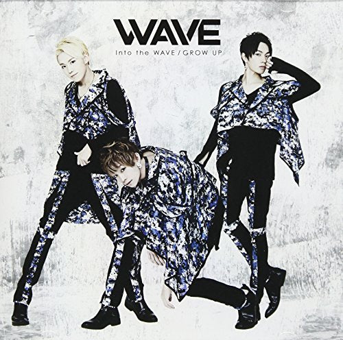 Into the WAVE [CD] WAVE; Souljuice