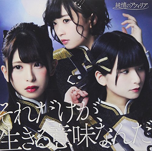 それだけが、生きる意味なんだ (通常盤E) [CD] 純情のアフィリア