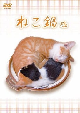 ねこ鍋 [DVD] [DVD]
