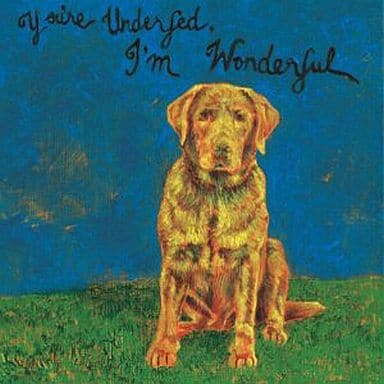 YOU’RE UNDERFED， I’M WONDERFUL [CD] SHORTSTRAW