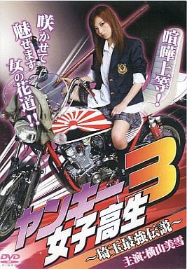 ヤンキー女子高生 3 埼玉最強伝説 [レンタル落ち] [DVD]