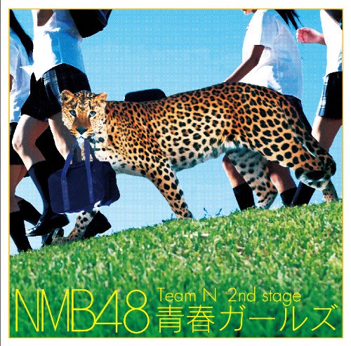 Team N 2nd Stage 「青春ガールズ」 [CD] NMB48
