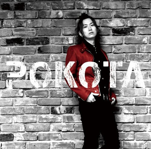 摩訶不思議 Lady imagination【通常盤】 [CD] ぽこた