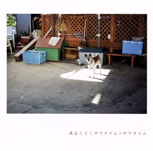 サマタイム×サマタイム [CD] 或るミイ