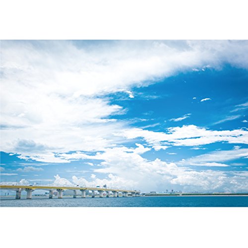 南風 [CD] SUNs