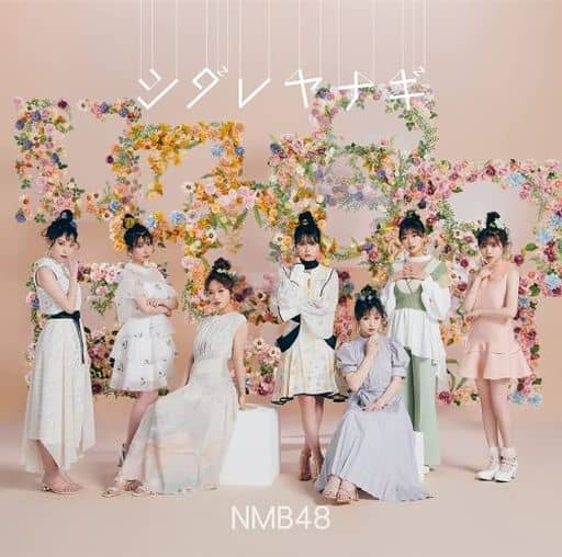 シダレヤナギ【通常盤Type-A】(CD+DVD) [CD] NMB48