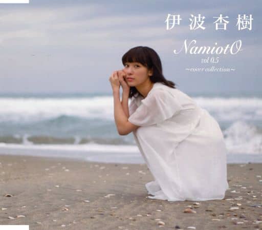 NamiotO vol 0.5 ～cover collection～ [CD]