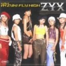 シングルV 「行くZYX! FLY HIGH」 [DVD] [DVD] [2003]