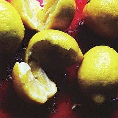 LemonPop [CD] Homosapiens
