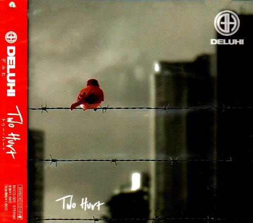 Two Hurt [CD] DELUHI